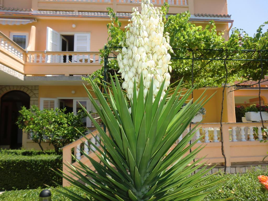 Guest House Sandra Rab Town Dış mekan fotoğraf